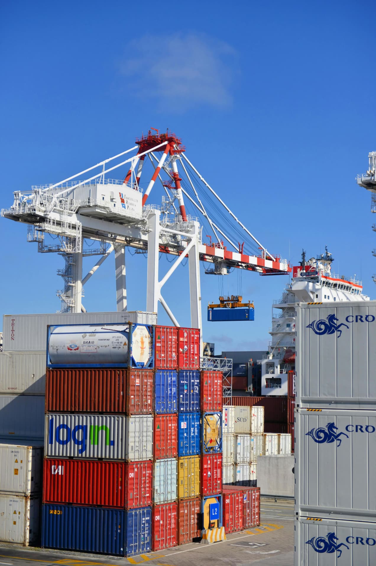 Export & International Sales