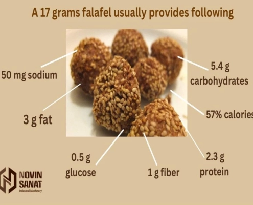 Falafel Nutrition Facts
